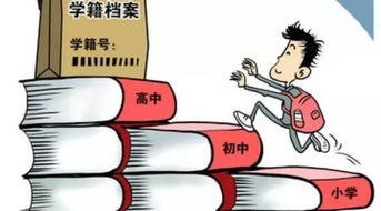 大学学籍查询与招生辅助服务指南